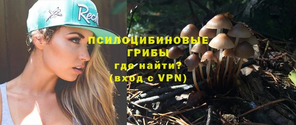 сатива Богданович