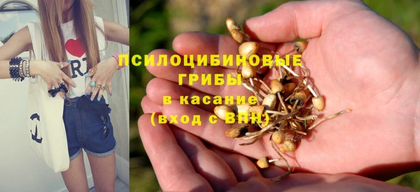 сатива Богданович